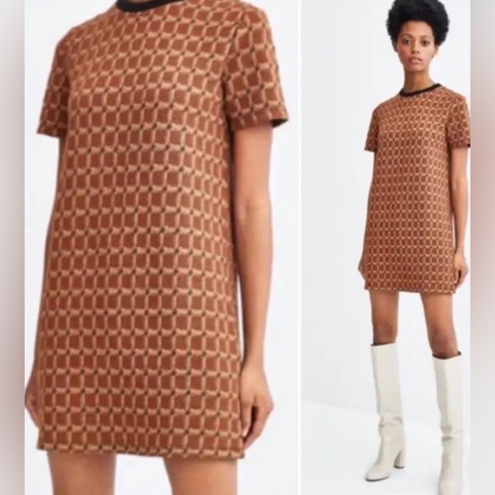 ZARA Trafaluc knit dress NWOT